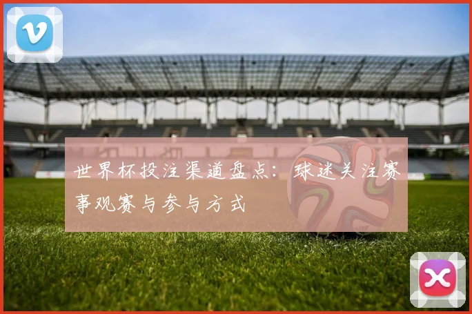 世界杯投注渠道盘点：球迷关注赛事观赛与参与方式