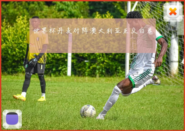 世界杯丹麦对阵澳大利亚互交白卷