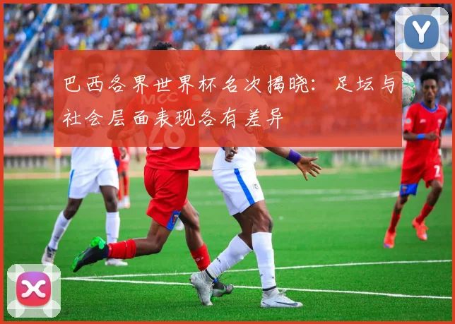 巴西各界世界杯名次揭晓:足坛与社会层面表现各有差异
