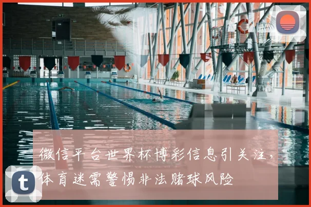 微信平台世界杯博彩信息引关注，体育迷需警惕非法赌球风险